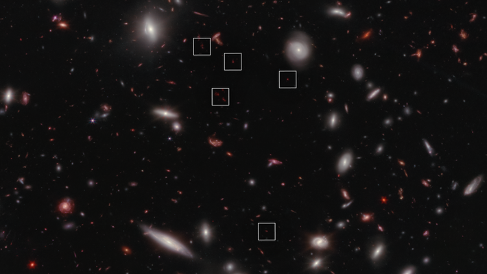 An image of many oval and spiral shaped galaxies