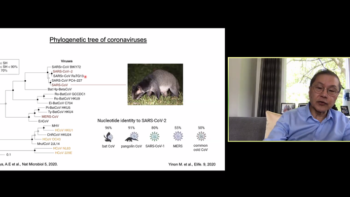 Virologist David Ho (BS '74), alongside a genetic family tree of viruses