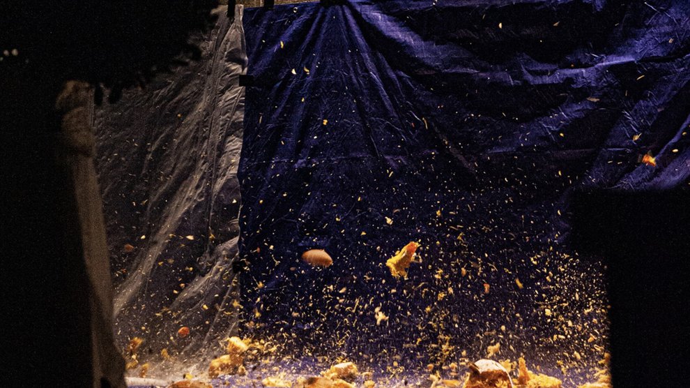 Pumpkins splatter on the ground