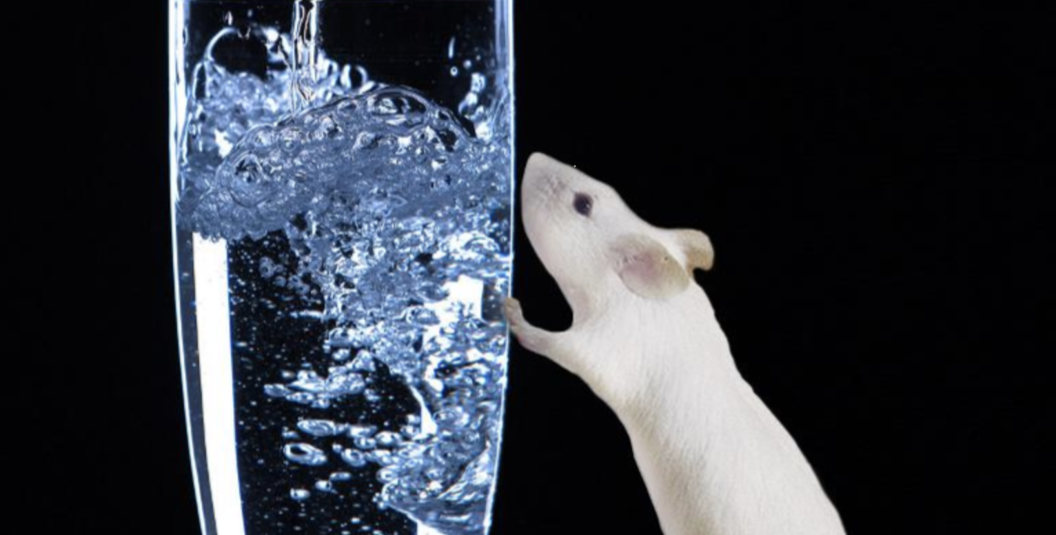 An illustration of a mouse standing near a glass of water