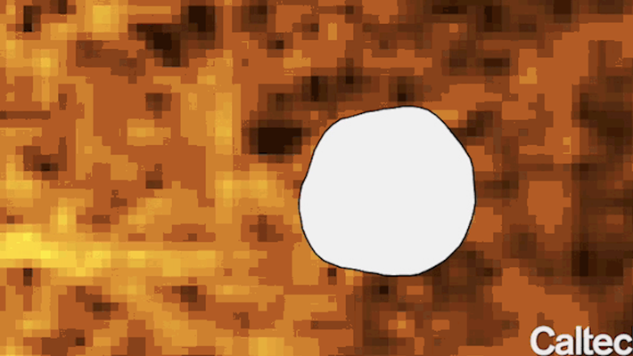 A cell (white blob) trying to navigate through a patchy signaling environment. High concentrations of signals are in yellow, low in dark orange or black.