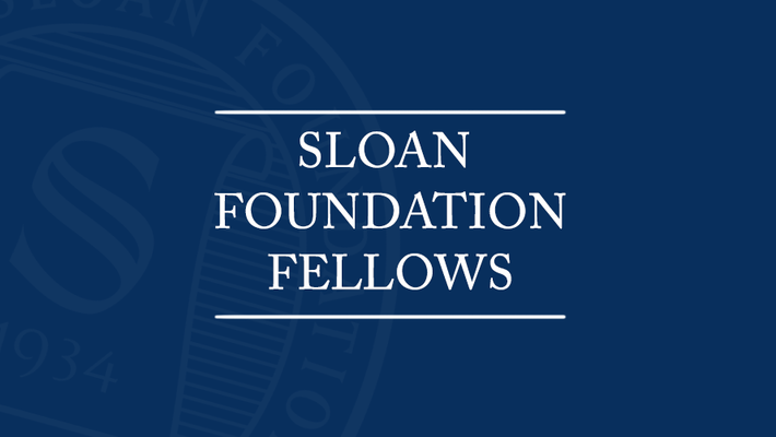 Sloan Foundation Fellows
