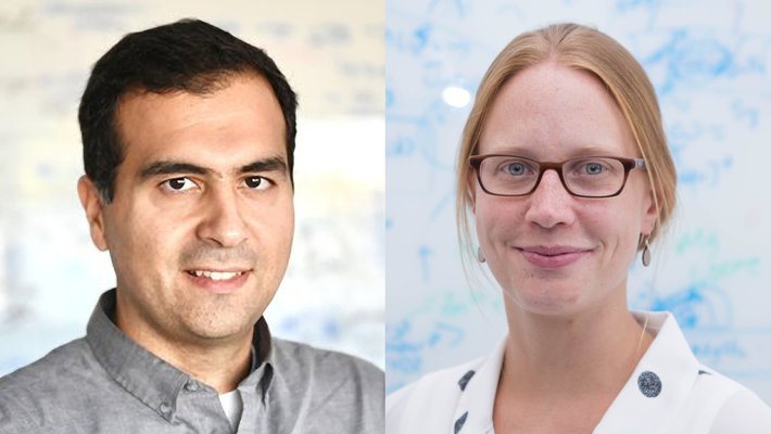 Side by side photo of Alireza Marandi and Kimberly See