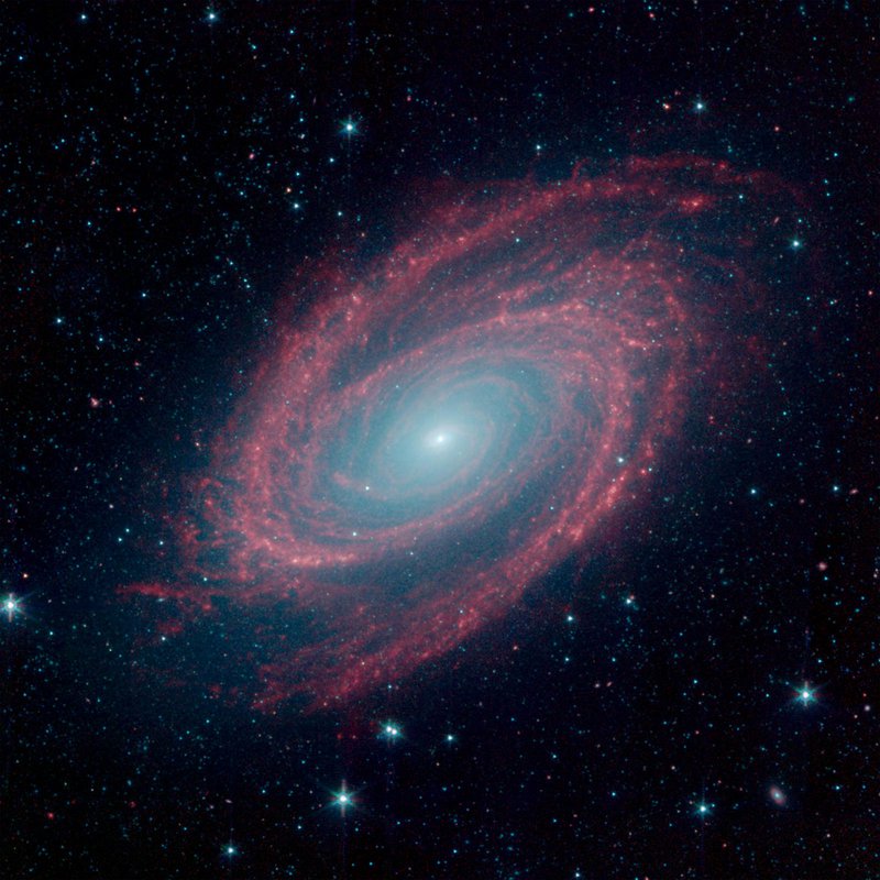 Messier 81 galaxy