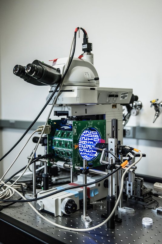 Fruit fly flight simulator.