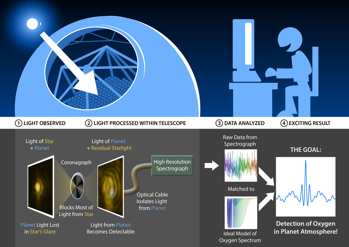 TMT coronagraph-spectrograph diagram
