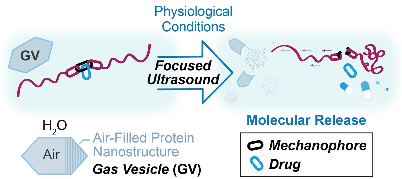 A diagram showing how ultrasound breaks a molecule apart, releasing the desired drug contained within it.