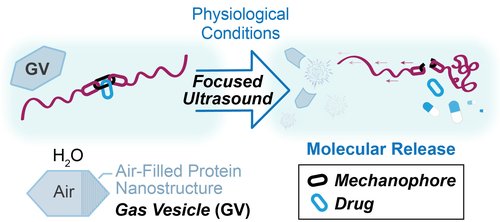 A diagram showing how ultrasound breaks a molecule apart, releasing the desired drug contained within it.