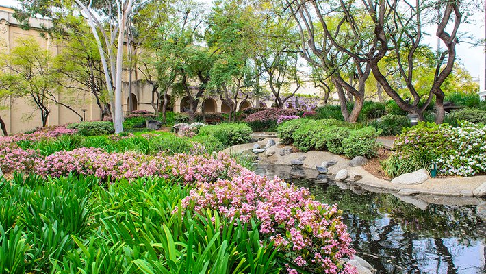 photo of Caltech's Throop Pond