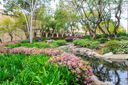 photo of Caltech's Throop Pond