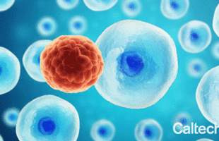 Artist's depiction of ultrasound waves destroying a cancer cell while leaving healthy cells intact.