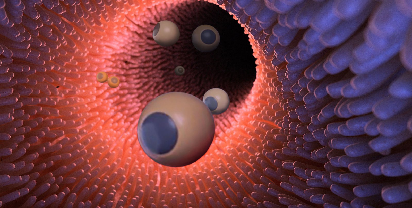 An artist's illustration of microrobots (appearing as small spheres) drifting through the inside of intestines.