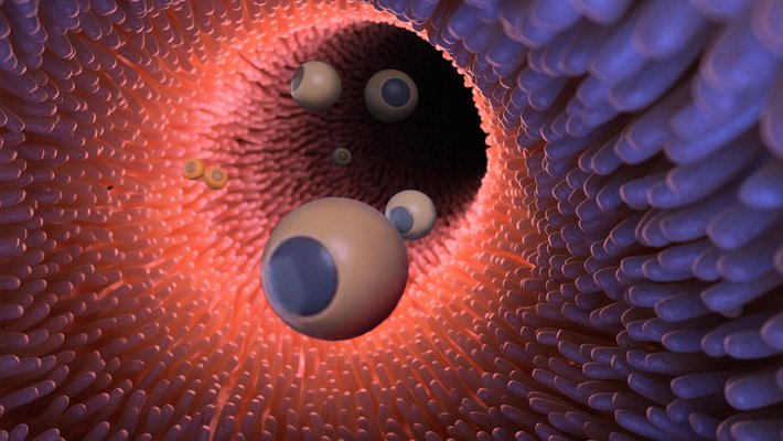 An artist's illustration of microrobots (appearing as small spheres) drifting through the inside of intestines.