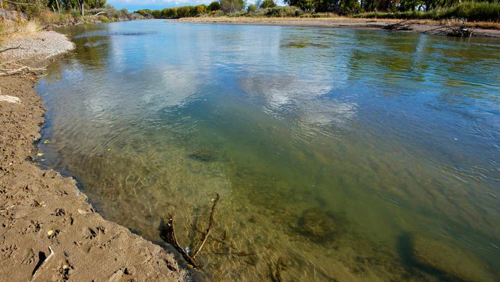 Stock image of a riverbank