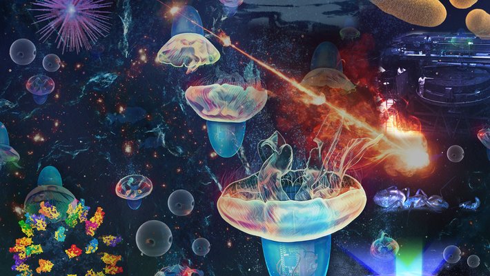 Collage of images from 2024 Caltech news stories including jellyfish, microbes, supernovae and more, with nothing illustrated at scale.