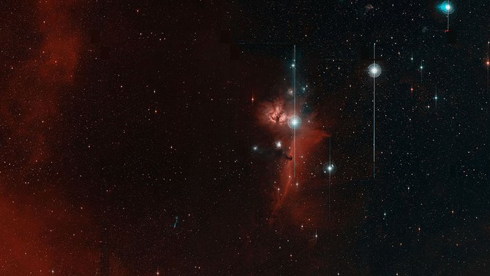 ZTF First Light image