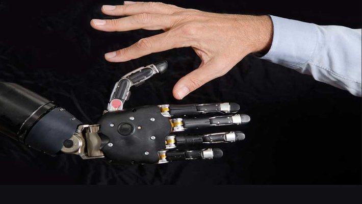 Logo for Division of Biology and Biological Engineering