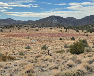 The CARMA site after restoration.