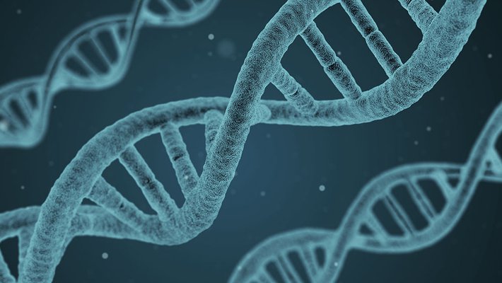 DNA