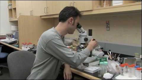 Image for Caltech-led Researchers Measure Body Temperatures of Dinosaurs for the First Time