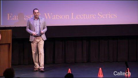 Image for Watson Lecture Preview: The Long-Run Behavior of Random Walks