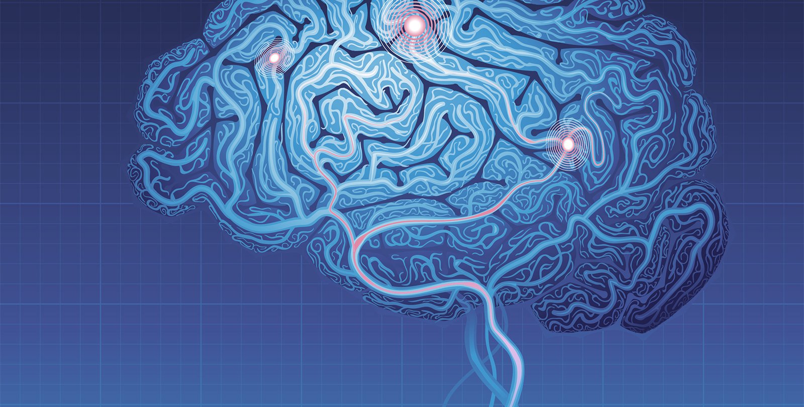 Artwork of the brain.