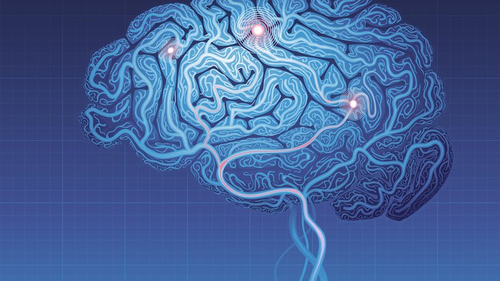 Artwork of the brain.