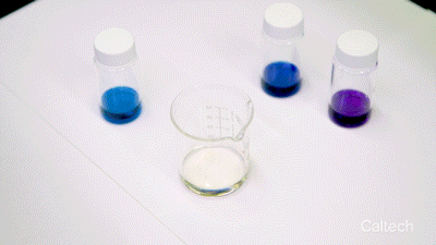 An animated gif showing how color develops on a small piece of plastic after it&#x27;s placed in a chemical bath in a beaker.