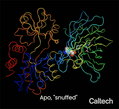 Illustration of rainbow-colored squiggles surrounding several small spheres