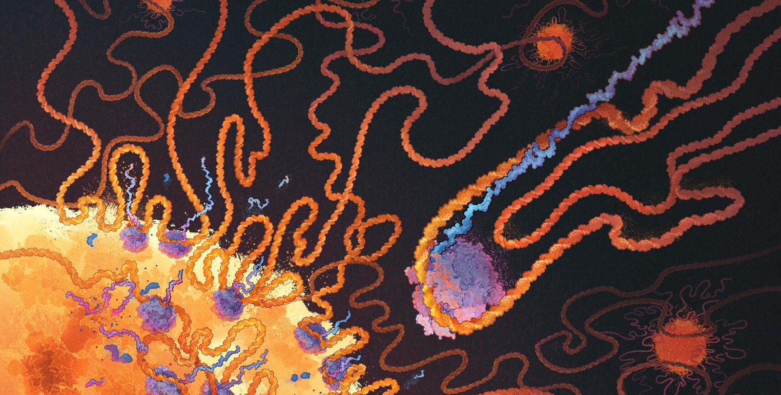 Illustration of a large sun-like orange sphere, with tightly curving lines emitting from it