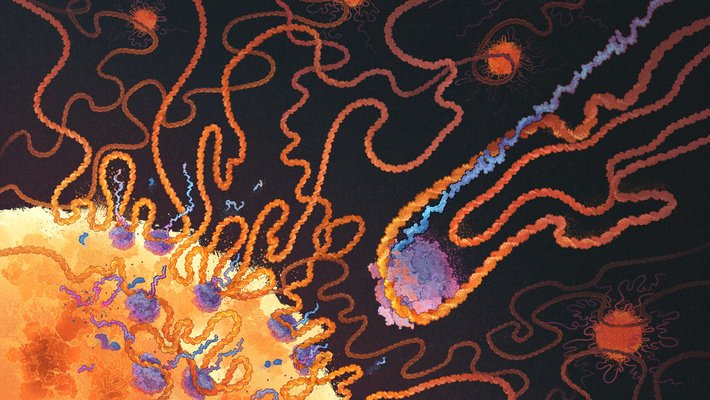 Illustration of a large sun-like orange sphere, with tightly curving lines emitting from it