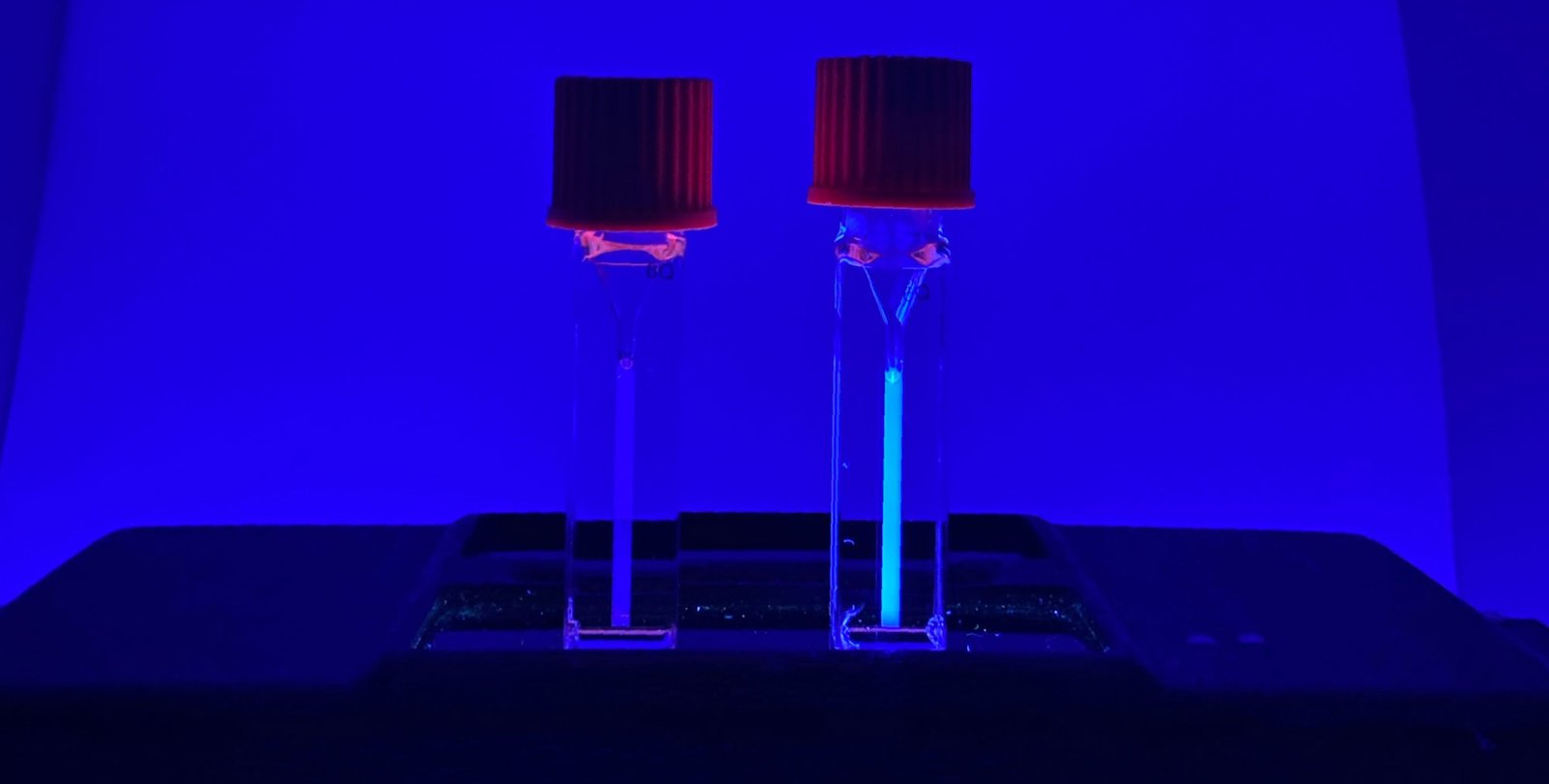 Side-by-side vials show a fluorescent molecule released from a mechanophore activated by ultrasound.