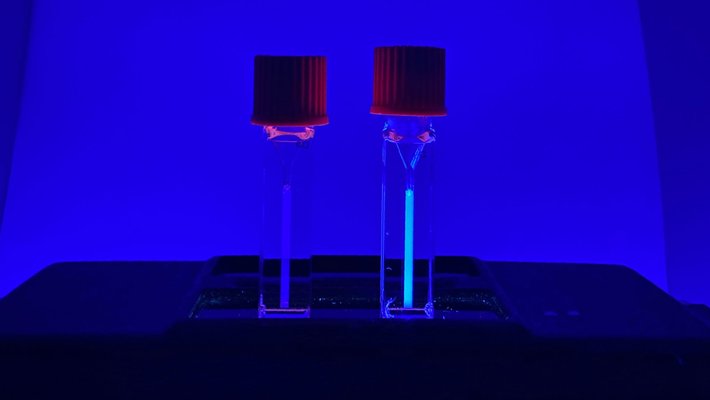 Side-by-side vials show a fluorescent molecule released from a mechanophore activated by ultrasound.