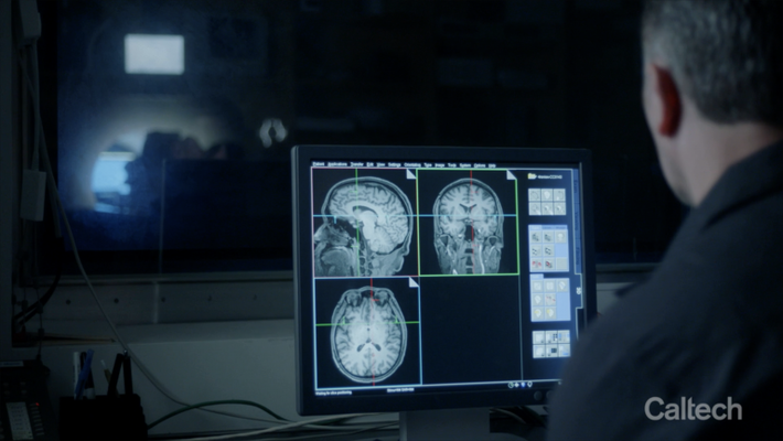 preview image for Dean Mobbs video