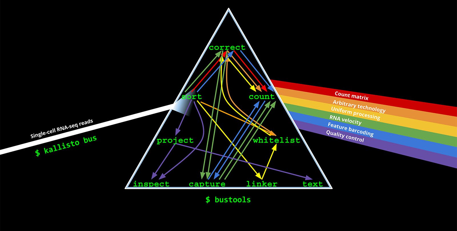 prism with "Single-cell RNA-seq reads" coming in a single stream