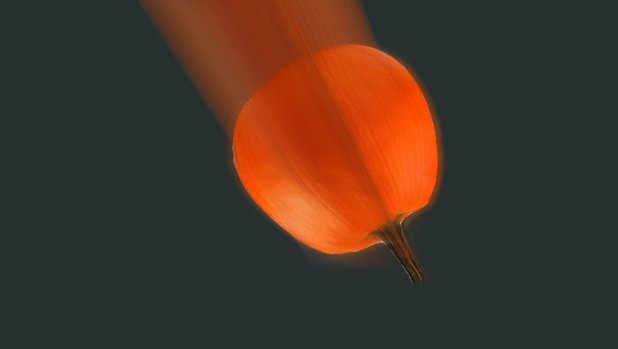 Photo of pumpkin falling