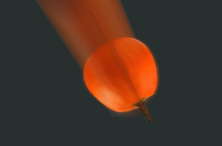 Photo of pumpkin falling