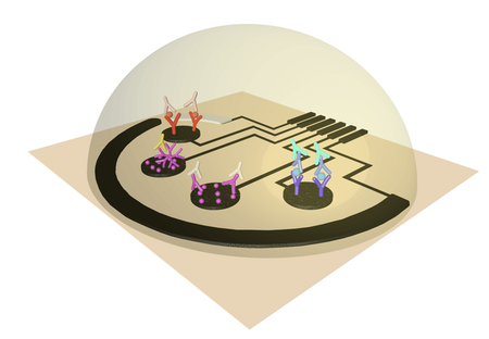 An artist's rendering showing how the sensor contains areas that each detect a different indicator of a COVID-19 infection.