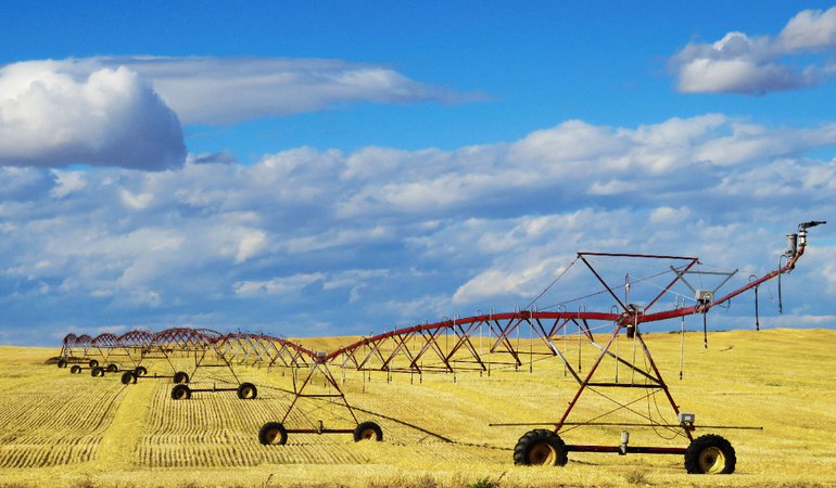 Irrigation equipment sits in a field of hay