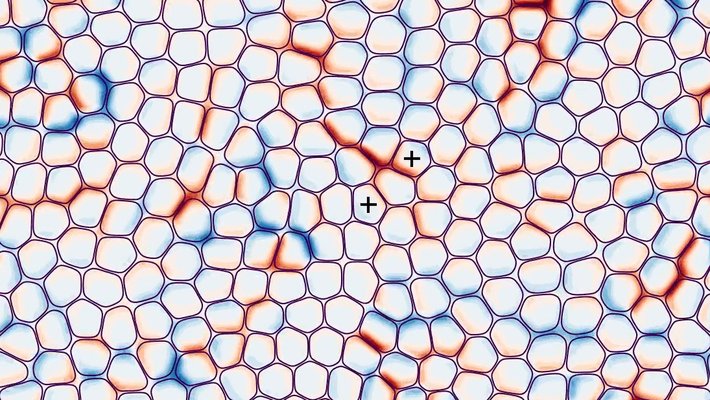 Many red and blue spherical shapes packed in together