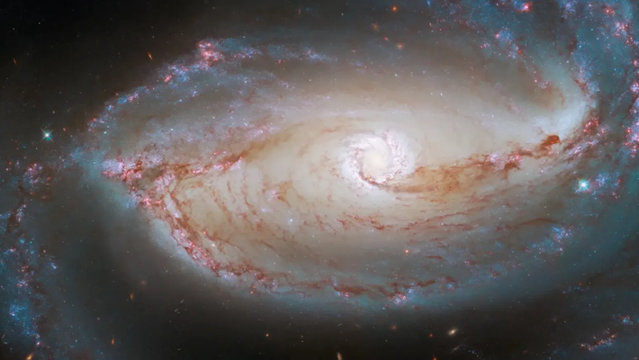 Picture of the spiral galaxy NGC 1097.